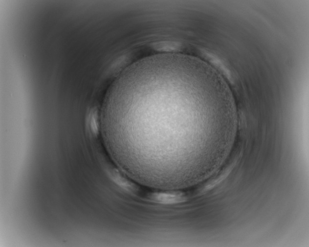 X0000115500069200911131329