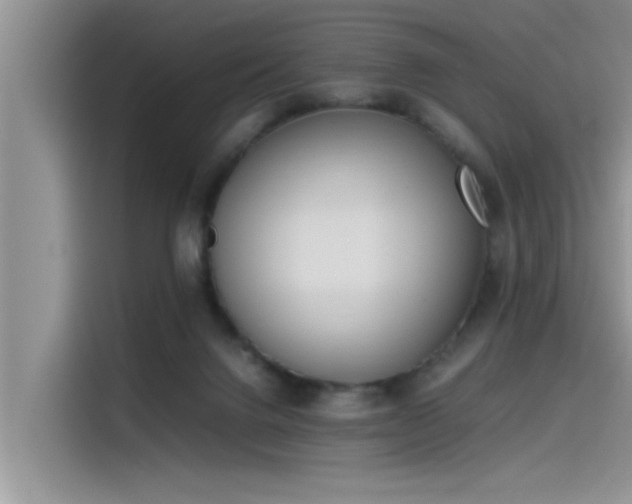 X0000115500072200911131329