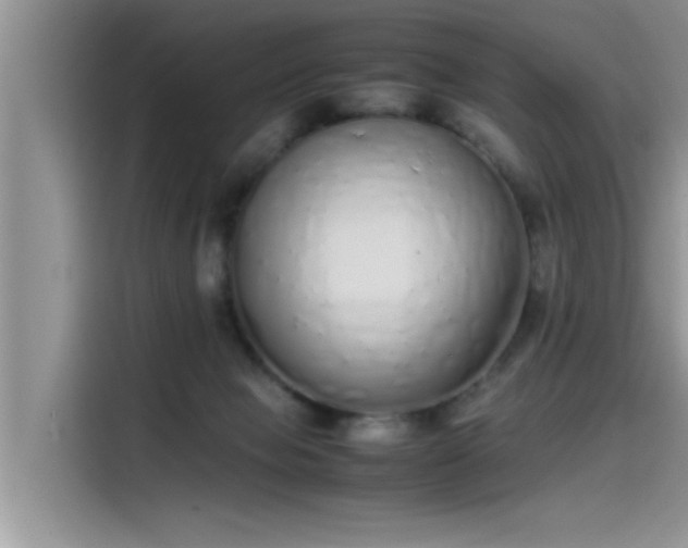 X0000115500077200911131329