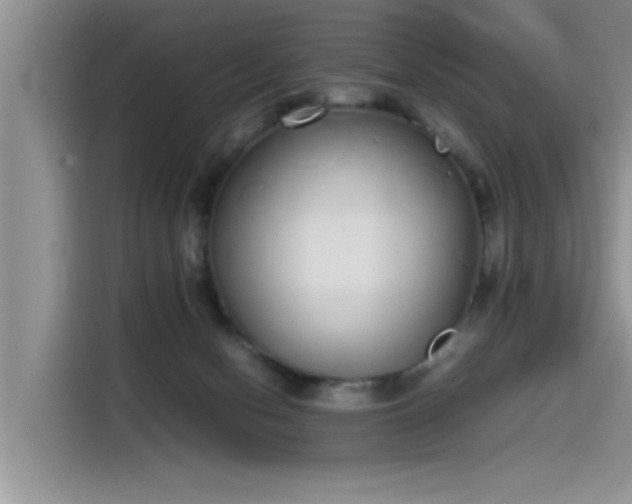 X0000115500078200911131329