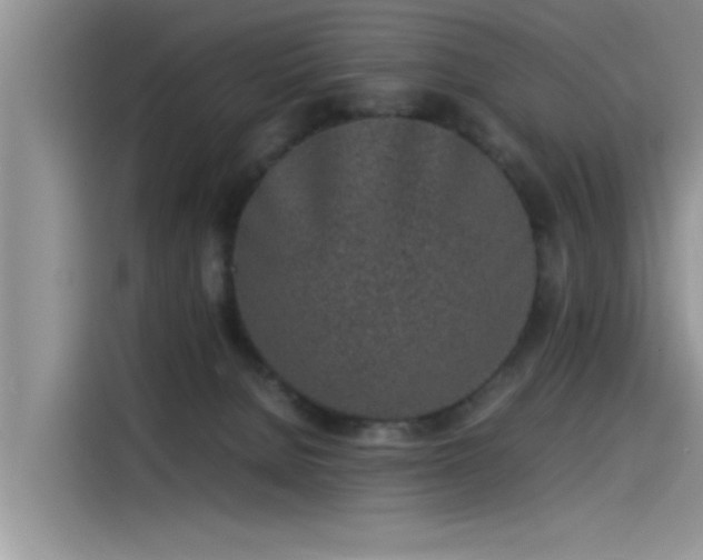 X0000115500080200911131329