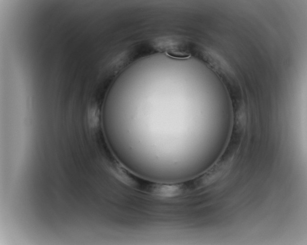X0000115500081200911131329