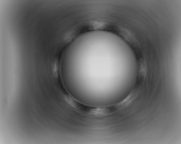 X0000115500082200911131329
