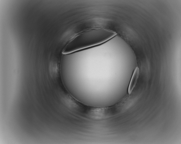 X0000115500084200911131329