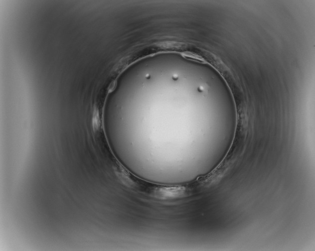 X0000115500089200911131329