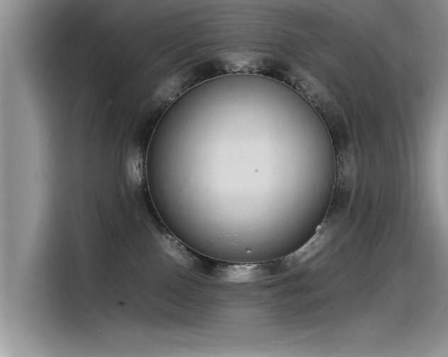 X0000115500090200911131329