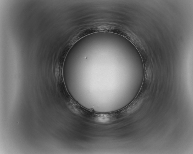 X0000115500091200911131329