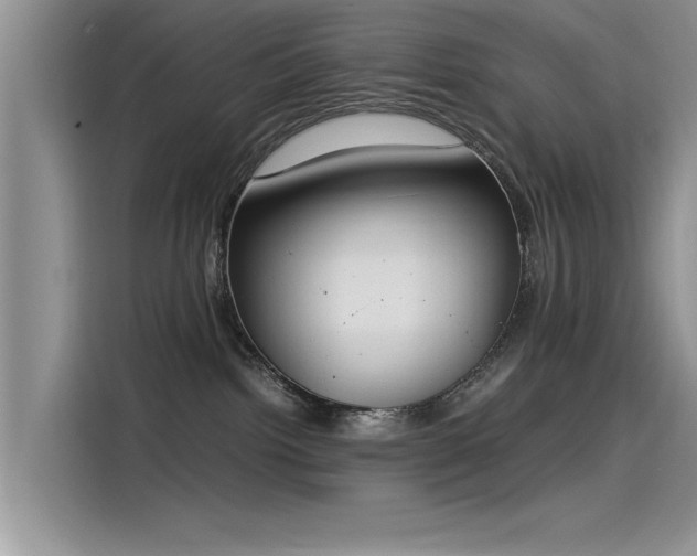 X0000115500092200911131329