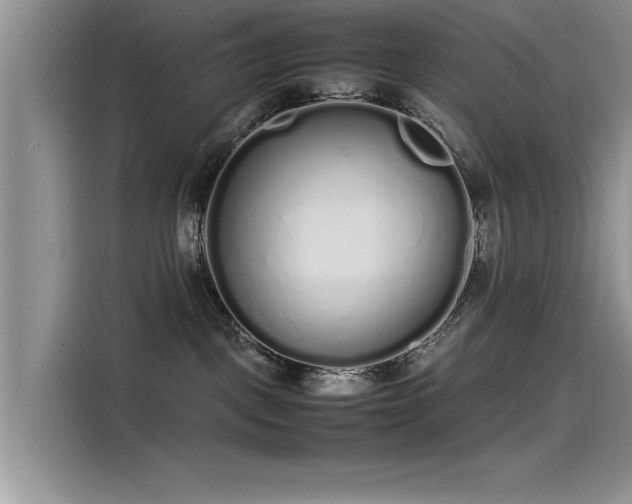 X0000115500093200911131329