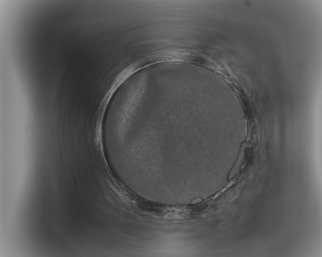X0000115500099200911131329
