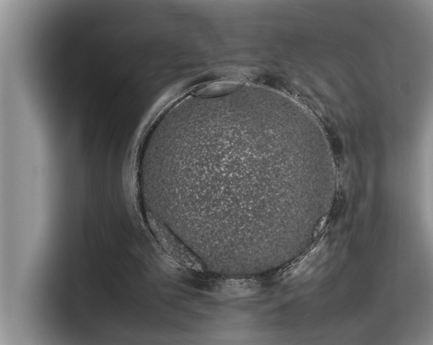 X0000115500101200911131329