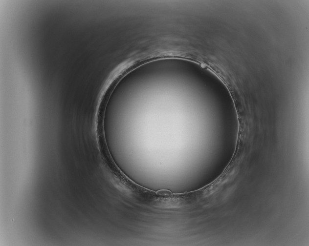 X0000115500104200911131329