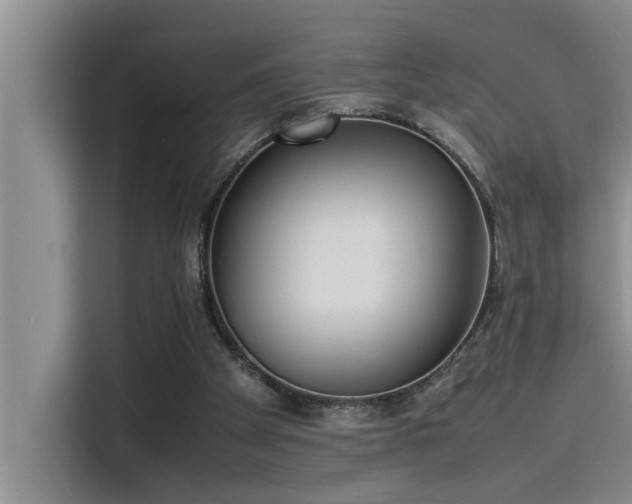 X0000115500105200911131329
