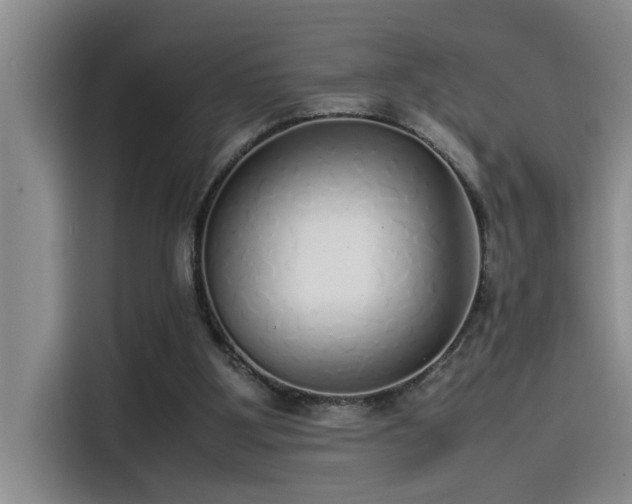 X0000115500107200911131329