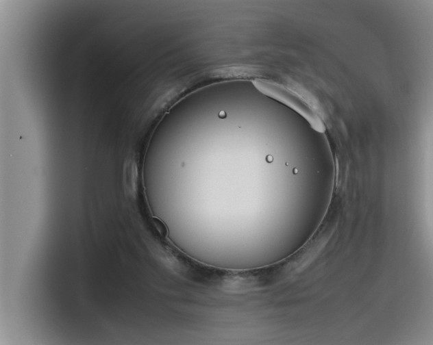 X0000115500109200911131329