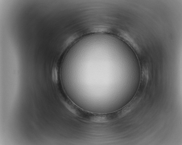 X0000115500110200911131329