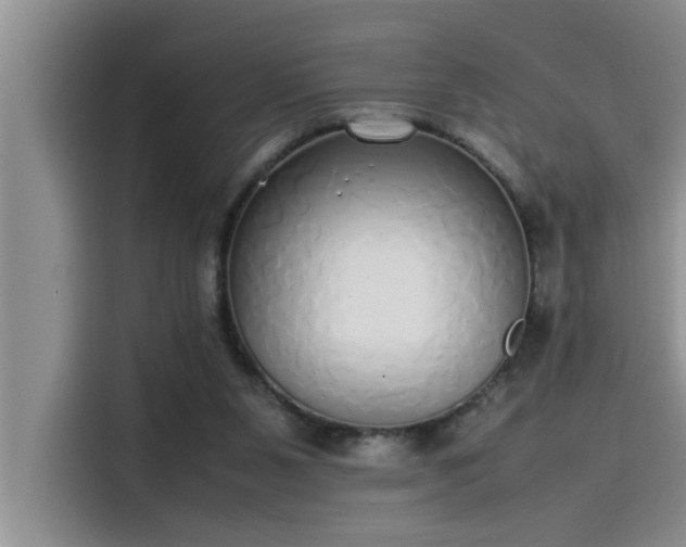 X0000115500111200911131329