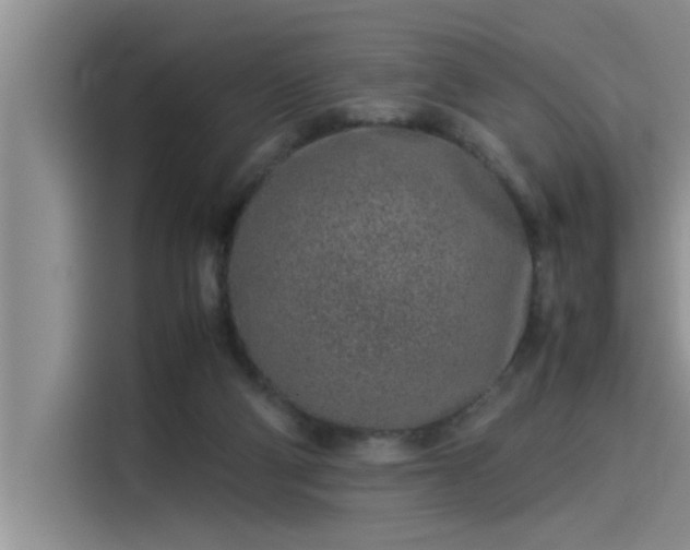X0000115500114200911131329