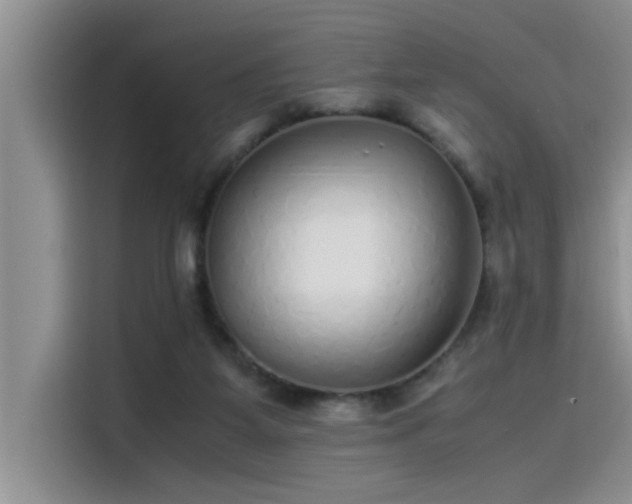X0000115500115200911131329