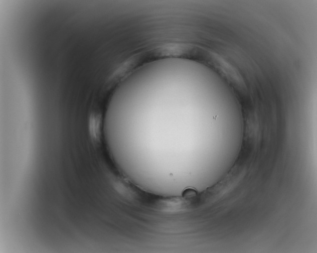 X0000115500118200911131329