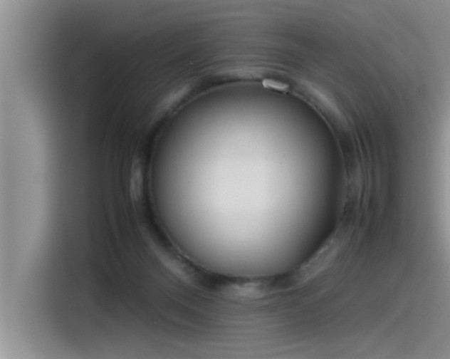 X0000115500120200911131329