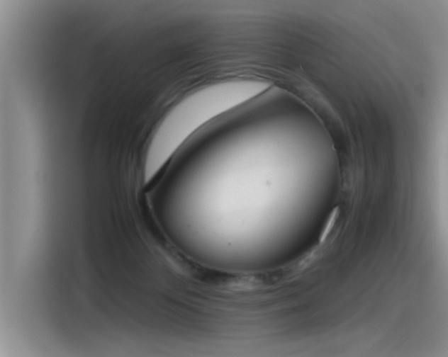 X0000115500124200911131329