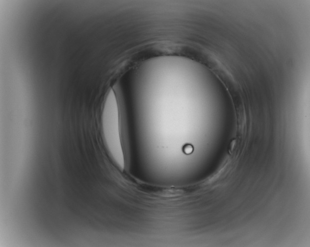 X0000115500128200911131328