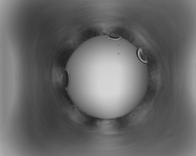 X0000115500129200911131328