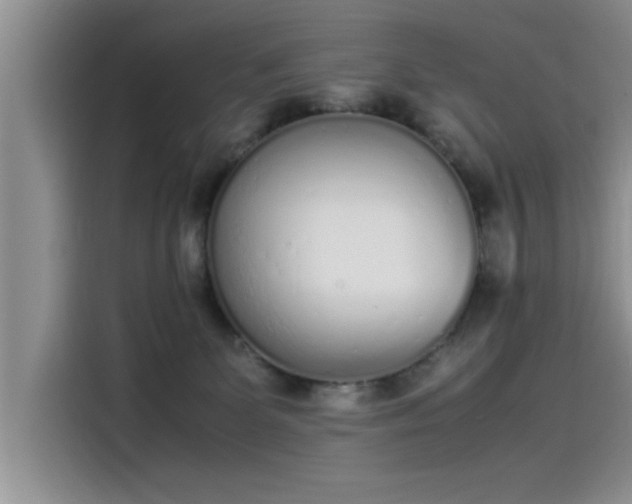 X0000115500131200911131328