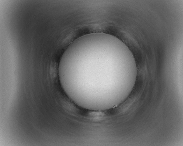 X0000115500133200911131328