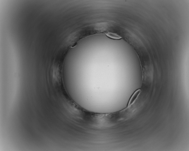 X0000115500136200911131328