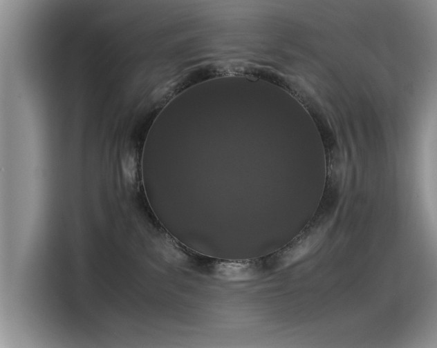 X0000115500139200911131328