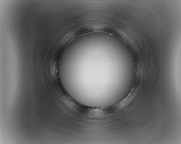 X0000115500140200911131328