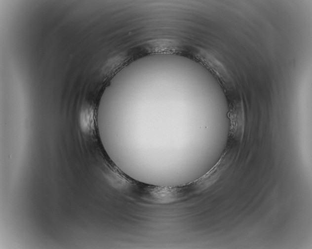X0000115500142200911131328