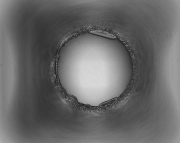 X0000115500144200911131328