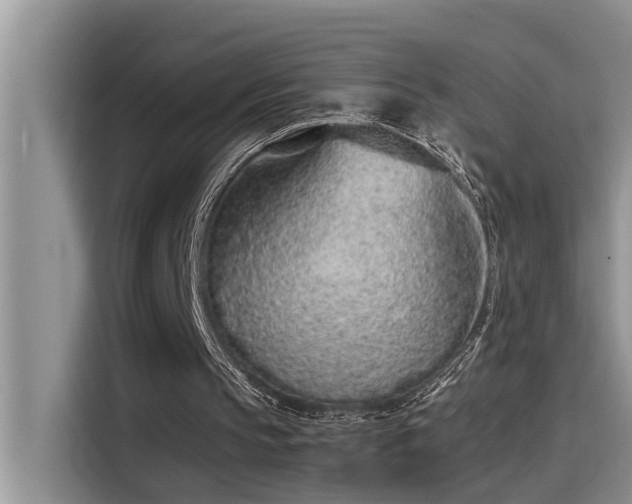 X0000115500145200911131328
