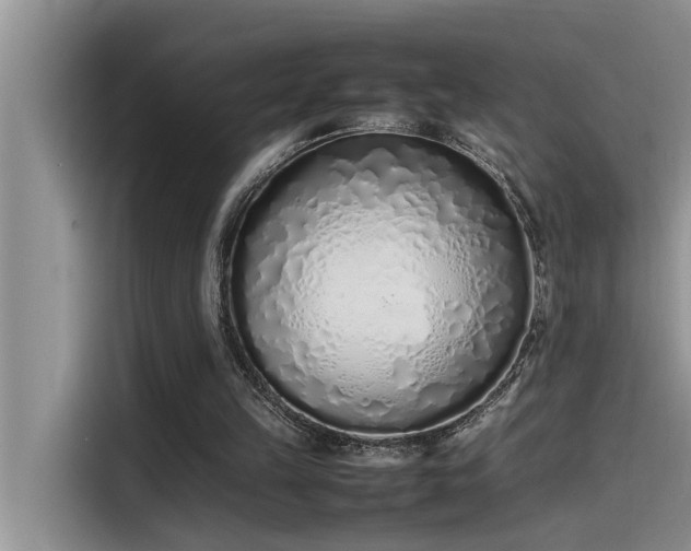 X0000115500149200911131328
