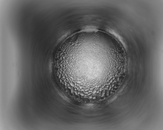X0000115500153200911131328