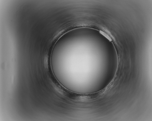 X0000115500154200911131328