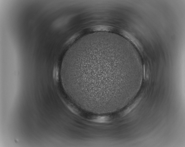 X0000115500157200911131328