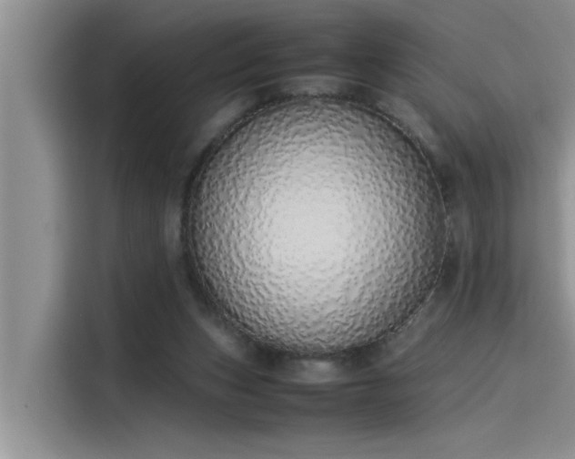 X0000115500159200911131328