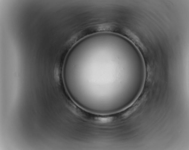 X0000115500161200911131328