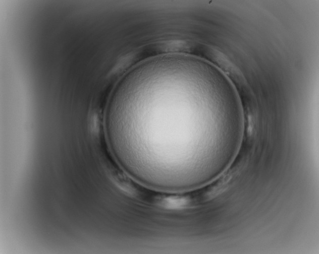 X0000115500165200911131328