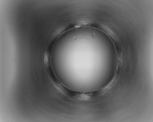 X0000115500166200911131328