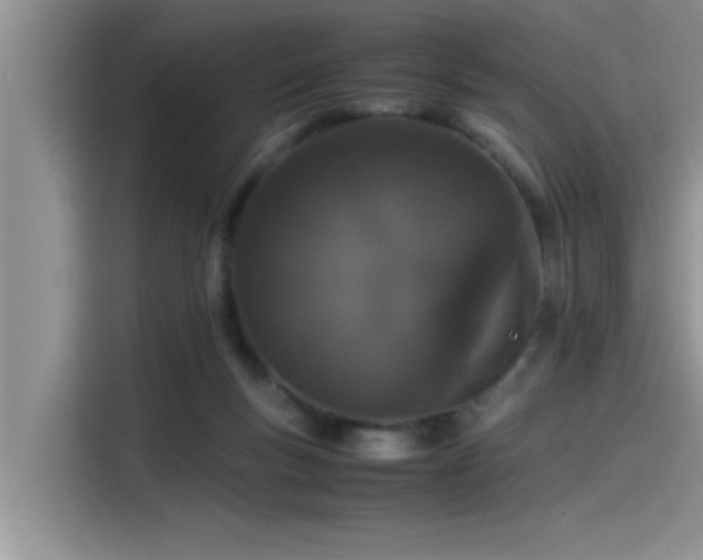 X0000115500167200911131328