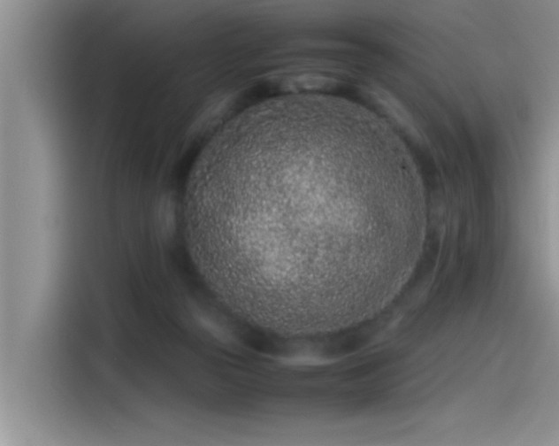 X0000115500169200911131328