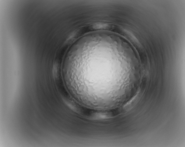 X0000115500171200911131328