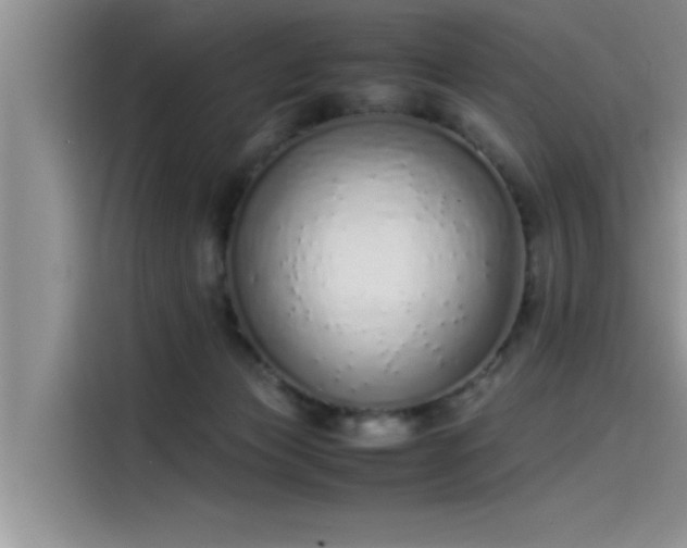 X0000115500173200911131328