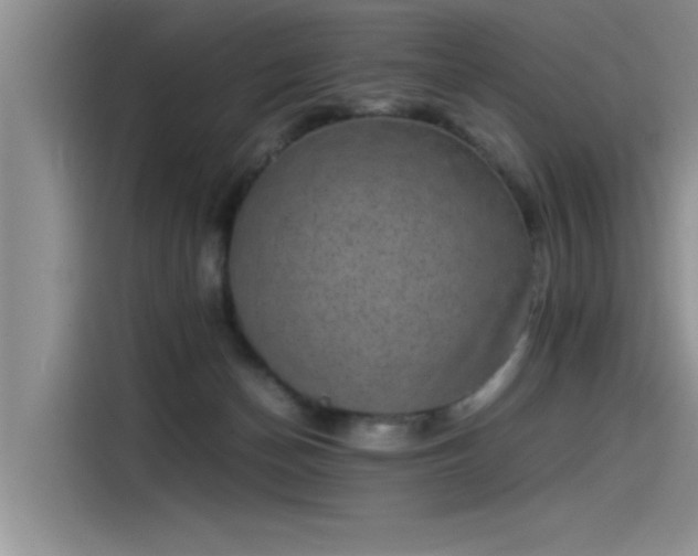 X0000115500174200911131328