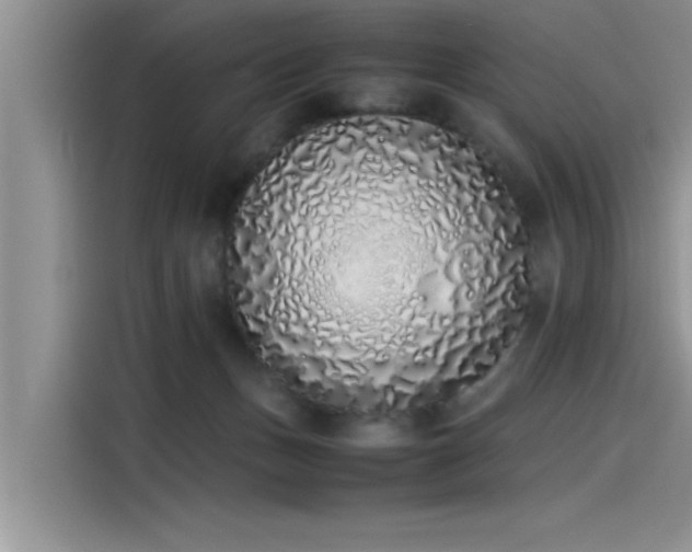 X0000115500175200911131328